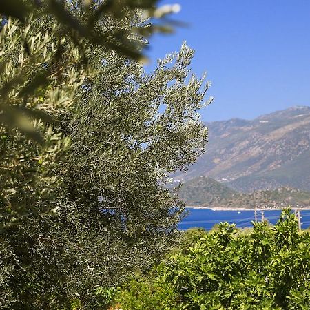 Kaktus Cakil Villa Каш Екстериор снимка