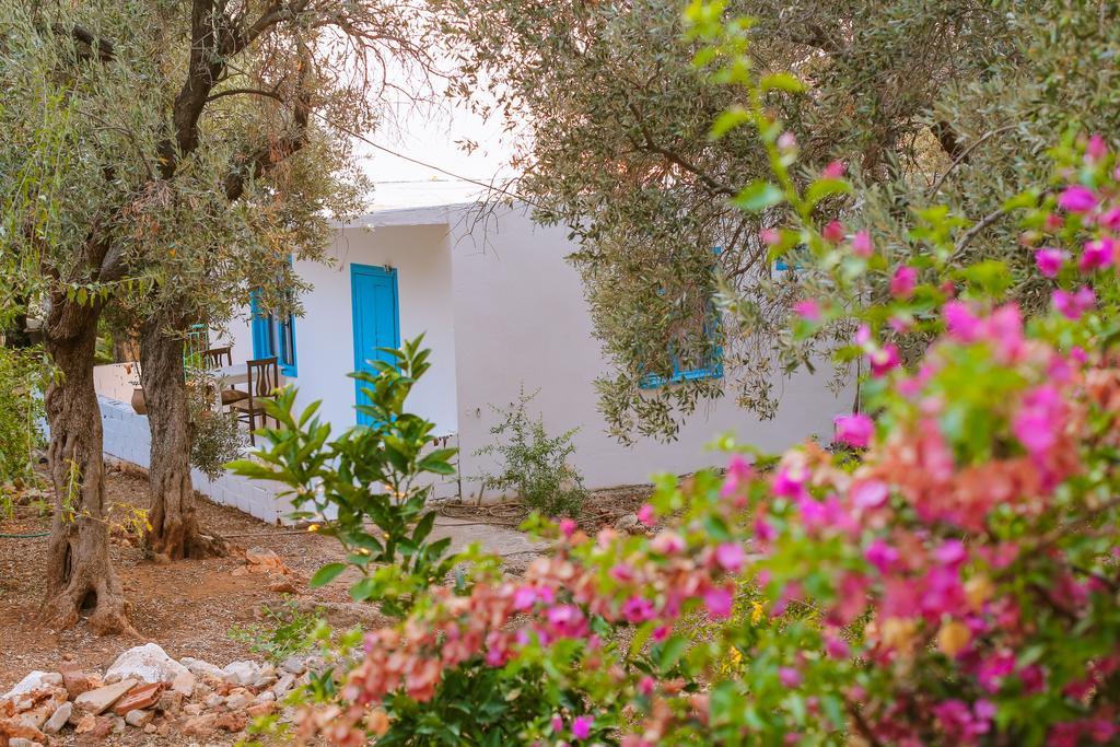 Kaktus Cakil Villa Каш Екстериор снимка