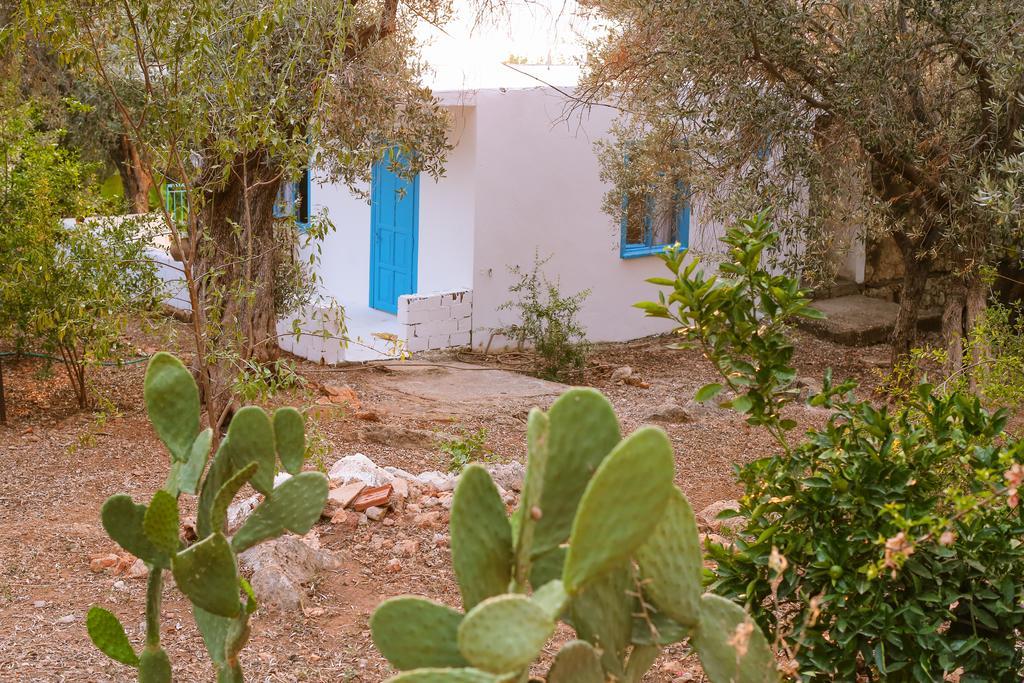 Kaktus Cakil Villa Каш Екстериор снимка