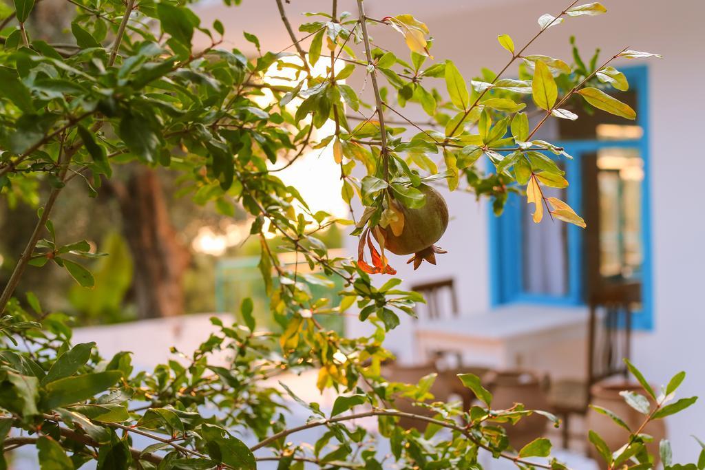 Kaktus Cakil Villa Каш Екстериор снимка