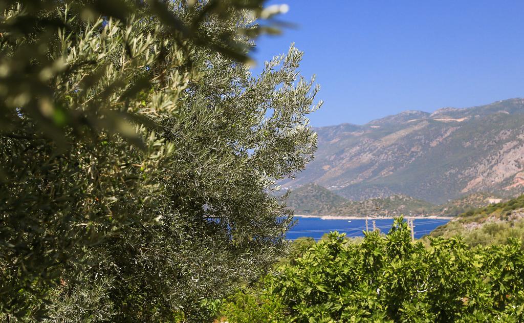 Kaktus Cakil Villa Каш Екстериор снимка